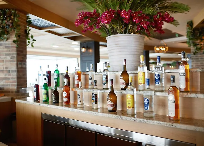 מלון Paradise אלניטה