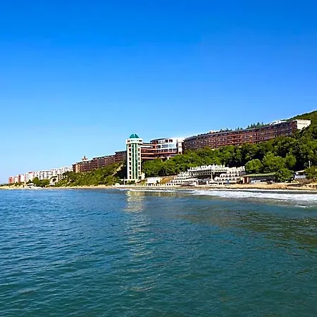 Paradise 5*