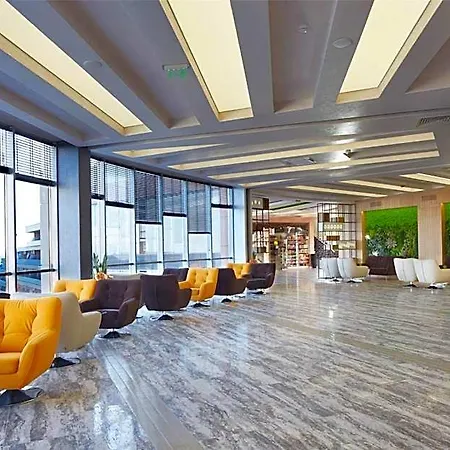 Paradise 5*